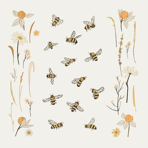 Vector bees insects vector illustrations set