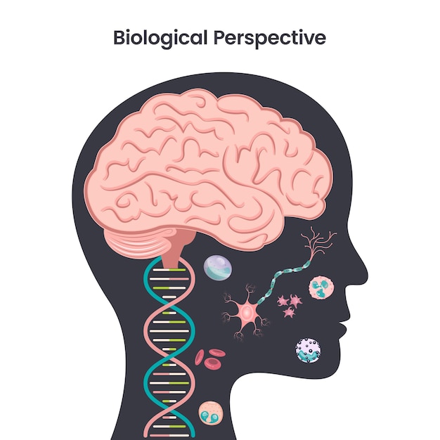 Vector biological perspective psychology education vector illustration design