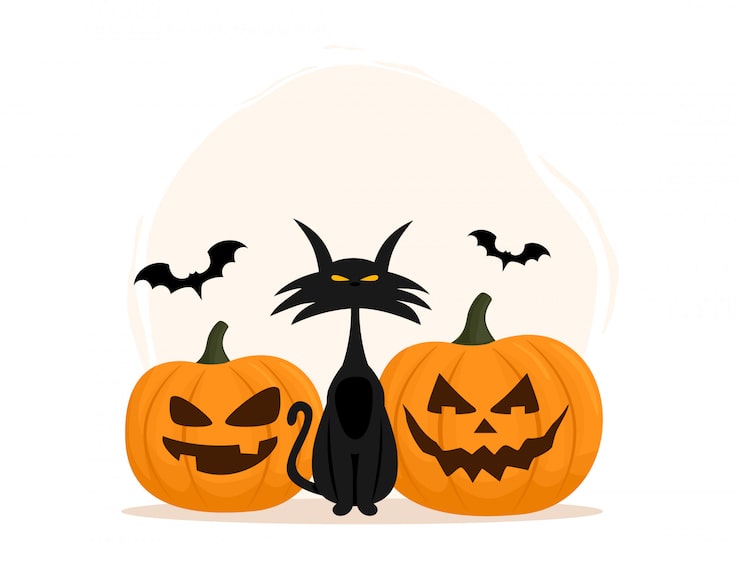 Vector black cat and pumpkin. happy halloween. vector illustration isolated