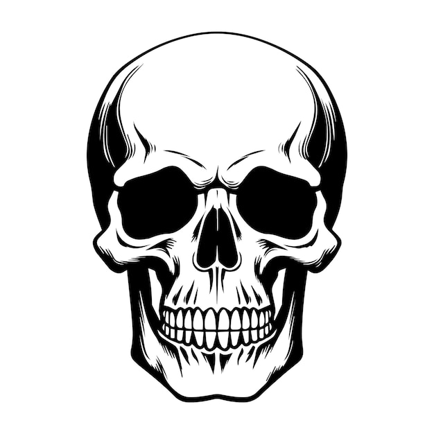 Vector black silhouette of a human skull vector illustration isolated on a white background halloween