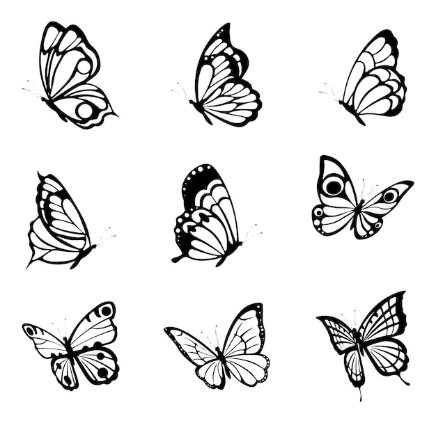 Vector black tattoo butterflies farfalle insects etching drawings decorative isolated butterfly silhouette graphics