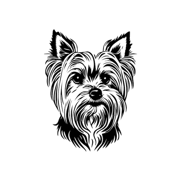 black and white yorkshire terrier vector illustration