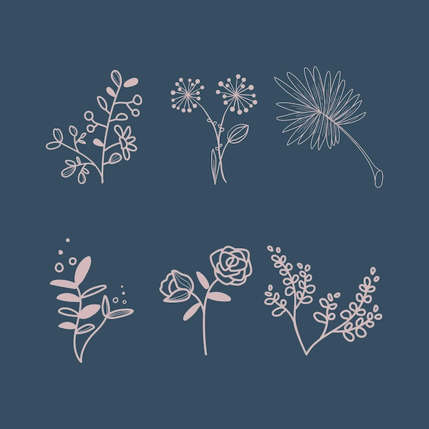 botanical flower collection illustration design