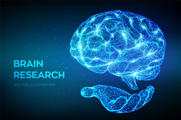 Vector brain. low polygonal abstract digital human brain in hand.