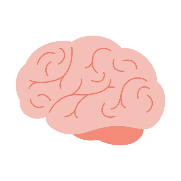 Vector brain or mind side view line art color vector icon for medical