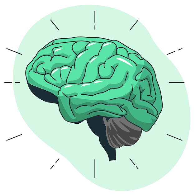 Vector brain organ concept illustration