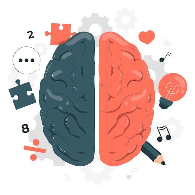 Vector brain sides concept illustration