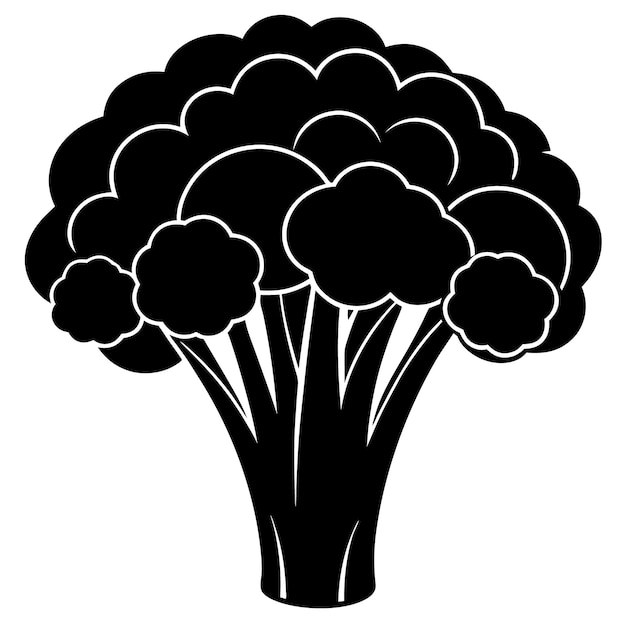 Vector broccoli black silhouette vector illustration