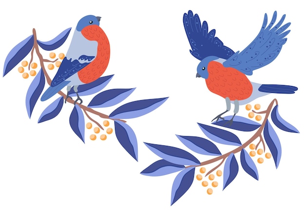 Vector bullfinches on branches vector illustration flat cartoon style isolated on white background
