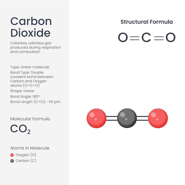 Vector carbon dioxide molecule co2 linear structure and 3d chemistry model illustration