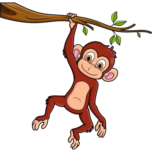 Vector cartoon monkey hanging in tree branch