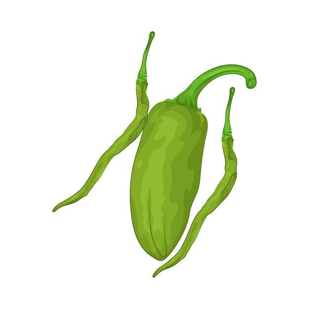 Vector chili