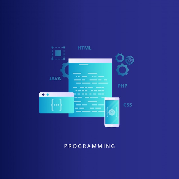 Vector coding, programming, website and application development