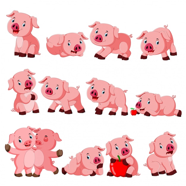 Vector collection of cute pig with various posing