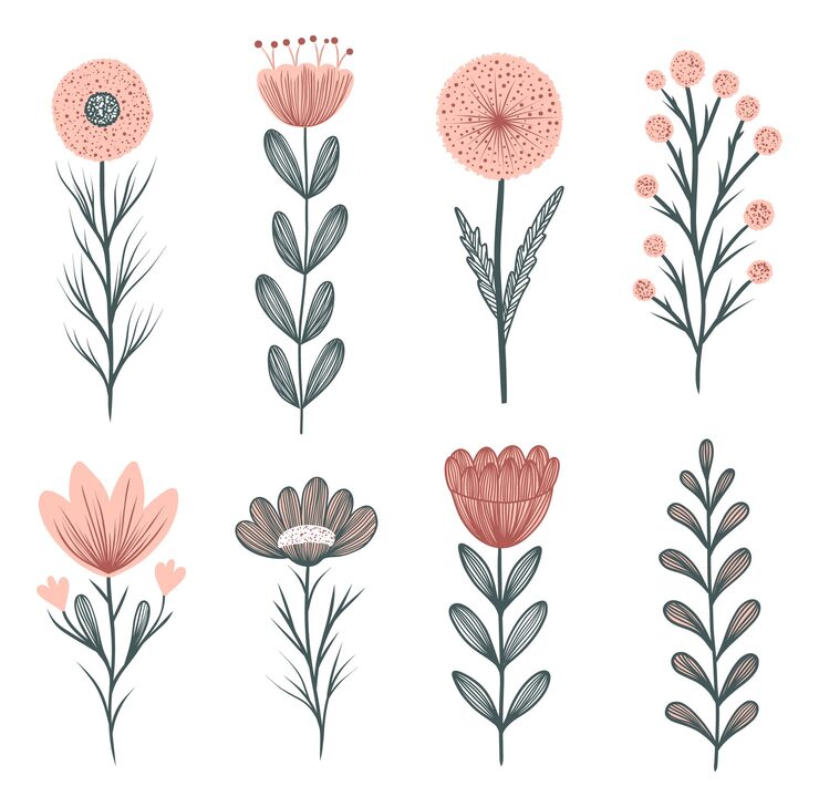 Vector collection of flowers in doodle style on white background