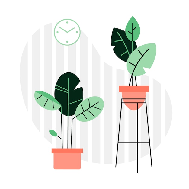 Vector a collection of indoor plants and flowers