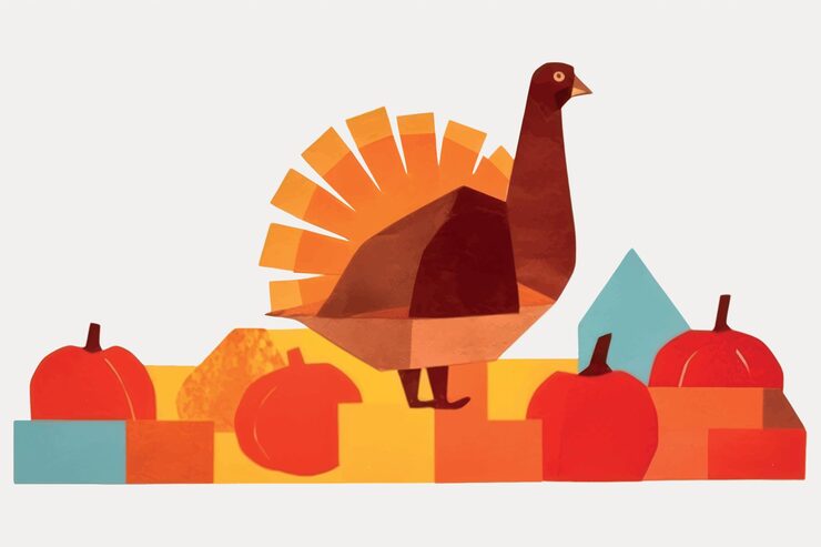 Vector colorful thanksgiving turkey illustration