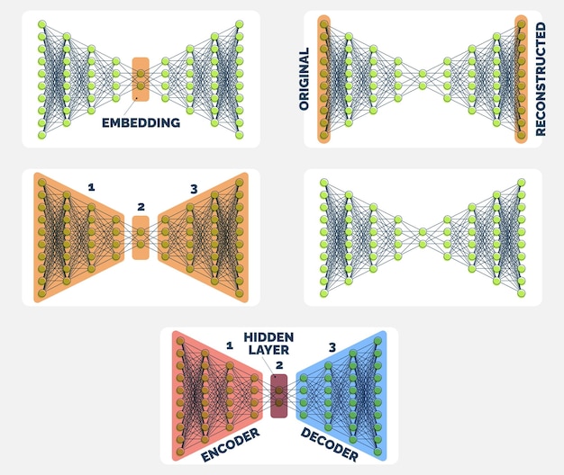 Vector comprehensive autoencoder neural network guide encoding to decoding visuals set of five illustrations