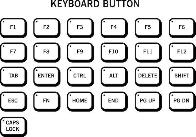 Vector a computer keyboard with the key button showing the key button and the bottom button