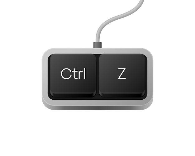 Vector ctrl z or copy paste button combination computer keyboard word on pc computer keyboard vector