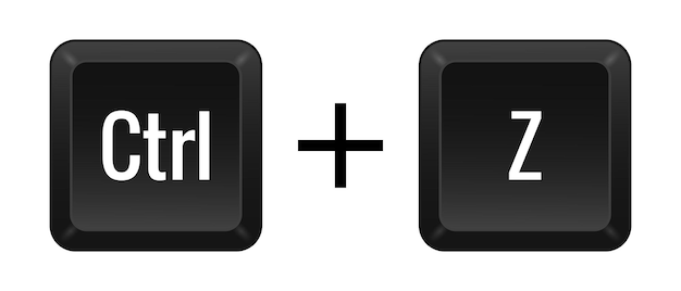 Vector ctrl z key combination keyboard control computer shortcut laptop functional input device peripheral enter the text typing type hotkeys layout language qwerty undo vector illustration