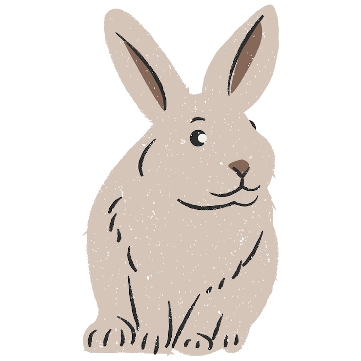 Vector cute fluffy bunny sitting adorable and gentle rabbit illustration