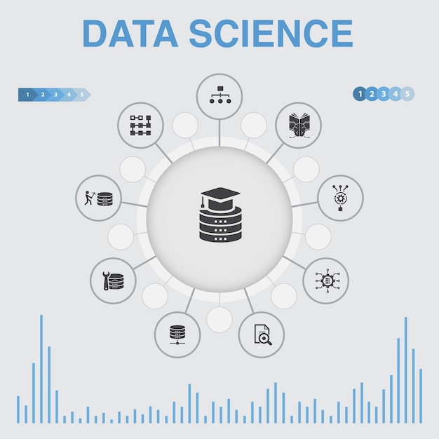 Vector data science infographic with icons contains such icons as machine learning big data database classification