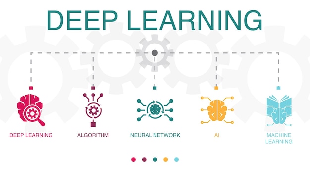 Vector deep learning algorithm neural network ai machine learning icons infographic design template creative concept with 5 steps