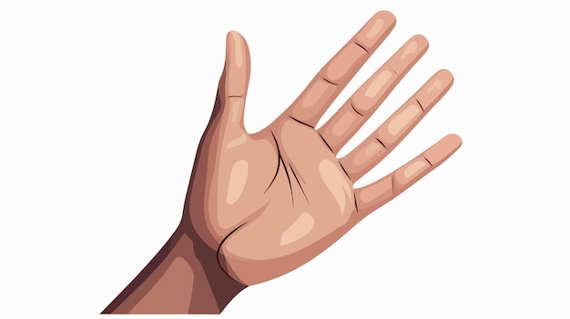 detailed vector hand illustration on white background