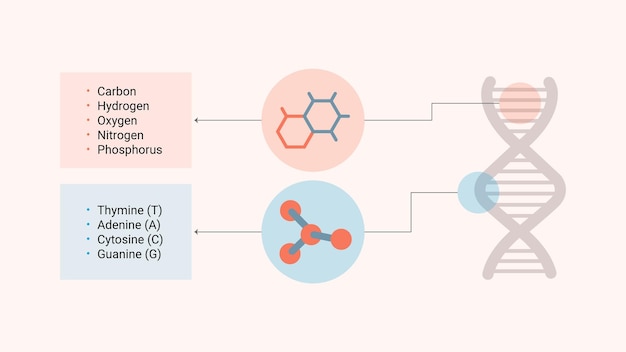 Vector a diagram of the chemical test system