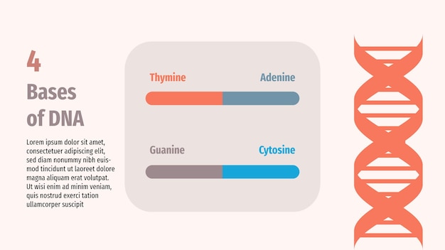 Vector a diagram of the same title as the title of the title