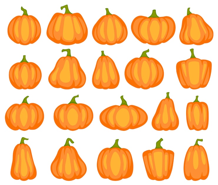 Vector different shapes and sizes of orange gourd, agriculture harvest vegetable. thanksgiving or halloween decorative cute drawing decoration