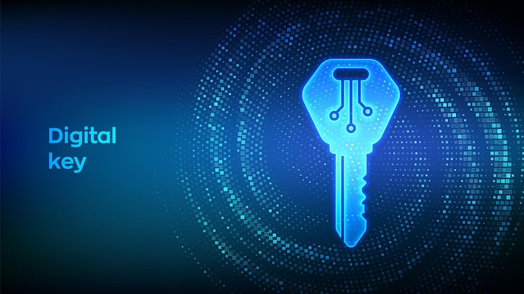 Digital key Electronic key icon made with binary code Cyber security and access background Virtual tunnel warp made with digital code Data Flow Vector Illustration