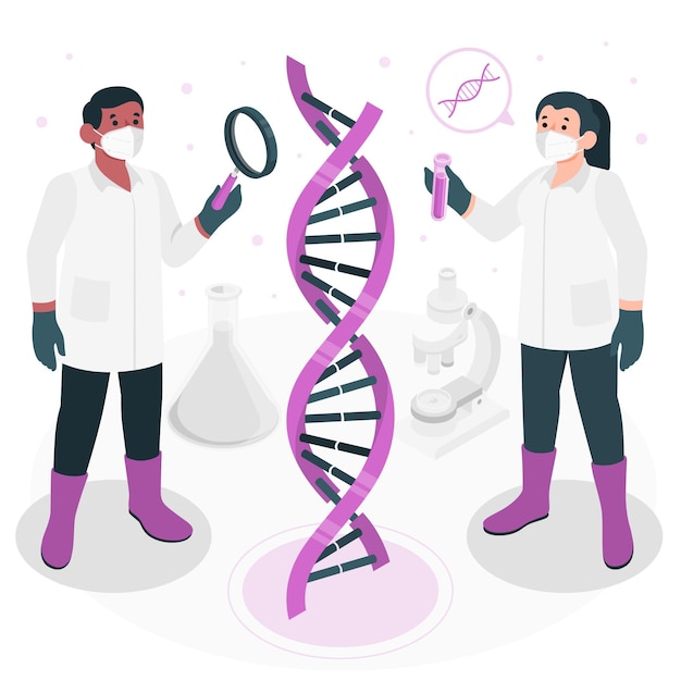Vector dna concept illustration