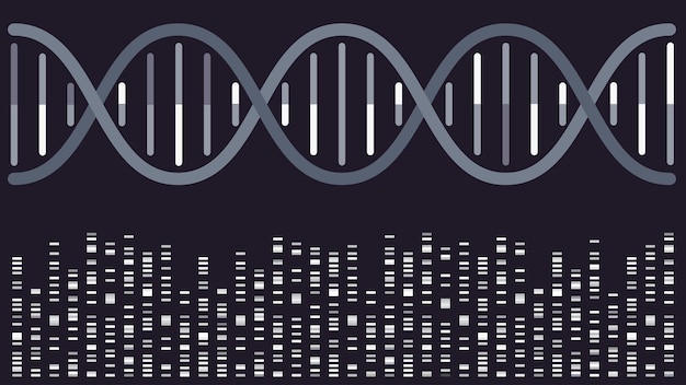 Vector dna double helix with sequencing bands vector illustration background