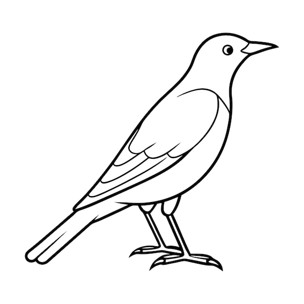 Vector a drawing of a bird with a white background