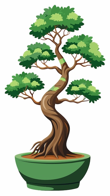 Vector a drawing of a tree with the word oak on it