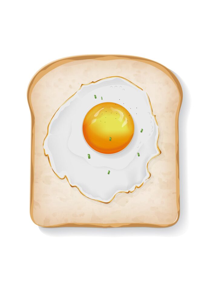 Egg and bread for breakfast meal vector