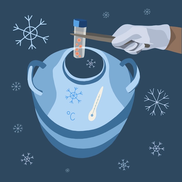 Vector egg freezing vector isolated illustration egg donation cryofreeze egg storage