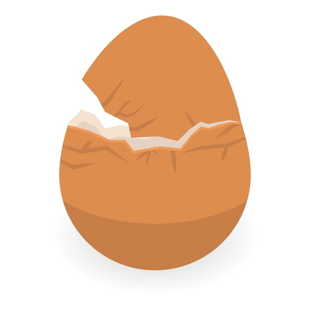 Vector eggshell icon isometric of eggshell vector icon for web design isolated on white background