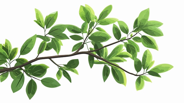 Vector exotic plant leaves in wide angle centered style for creative design projects