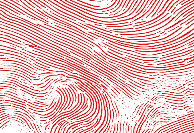 Vector fingerprint lines