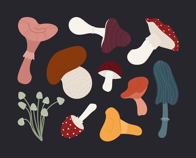 Vector a flat style collection of various illustrated mushrooms different shapes and colors on a dark backg