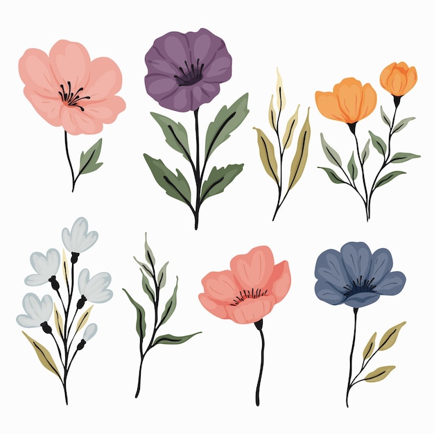 Vector floral clipart collection delicate blossoms and foliage