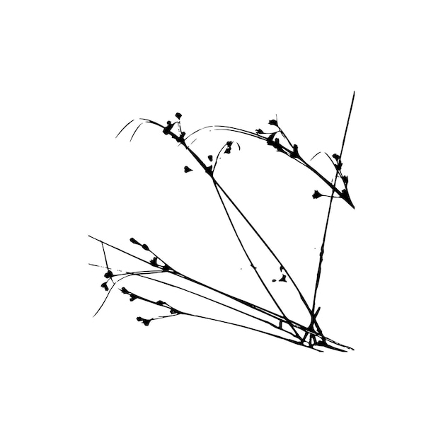 Vector floral flush flower vector