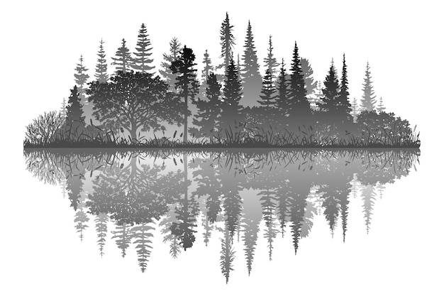 Vector forest reflected in water wild lake black and white