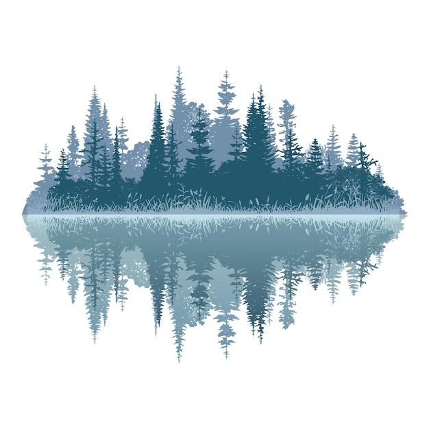 Vector forest reflected in water wild lake on a white background
