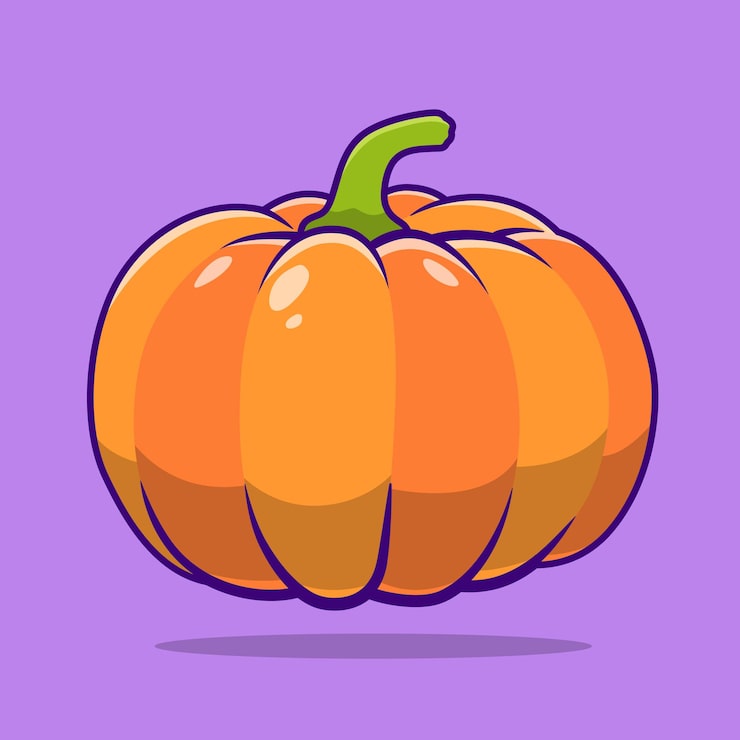 Vector fresh pumpkin vector illustration vegetable object icon flat design