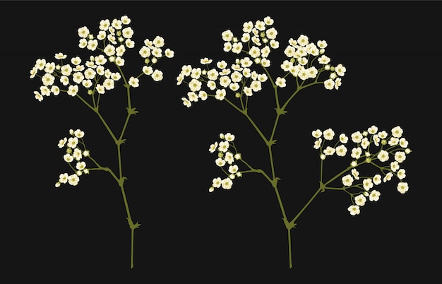 fully editable vector illustration of floral clip art sets.