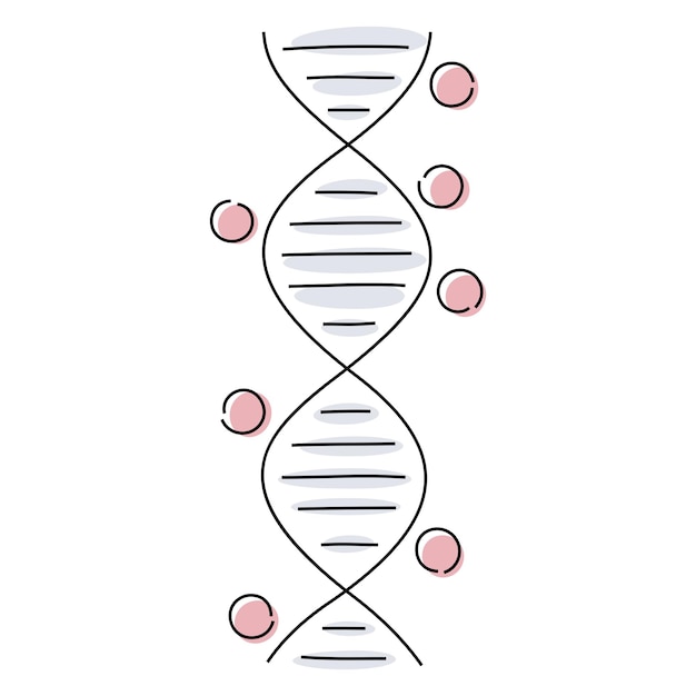Vector genetic methylation